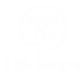 DBS-Designs